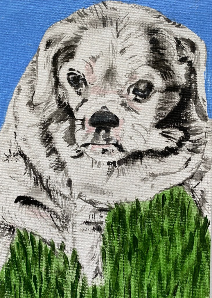 Hand-painted pet portrait by Kelly Matczak